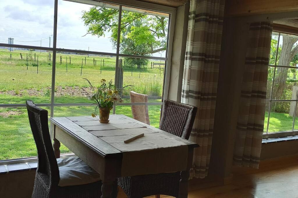Korentil . Cosy House With Private Garden De Haan Εξωτερικό φωτογραφία